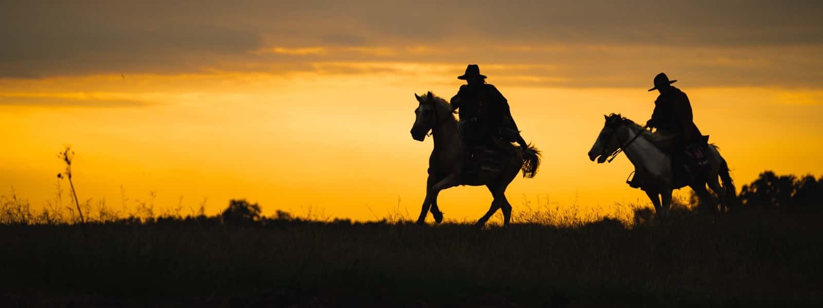 Working Ranch Life Outside Yellowstone