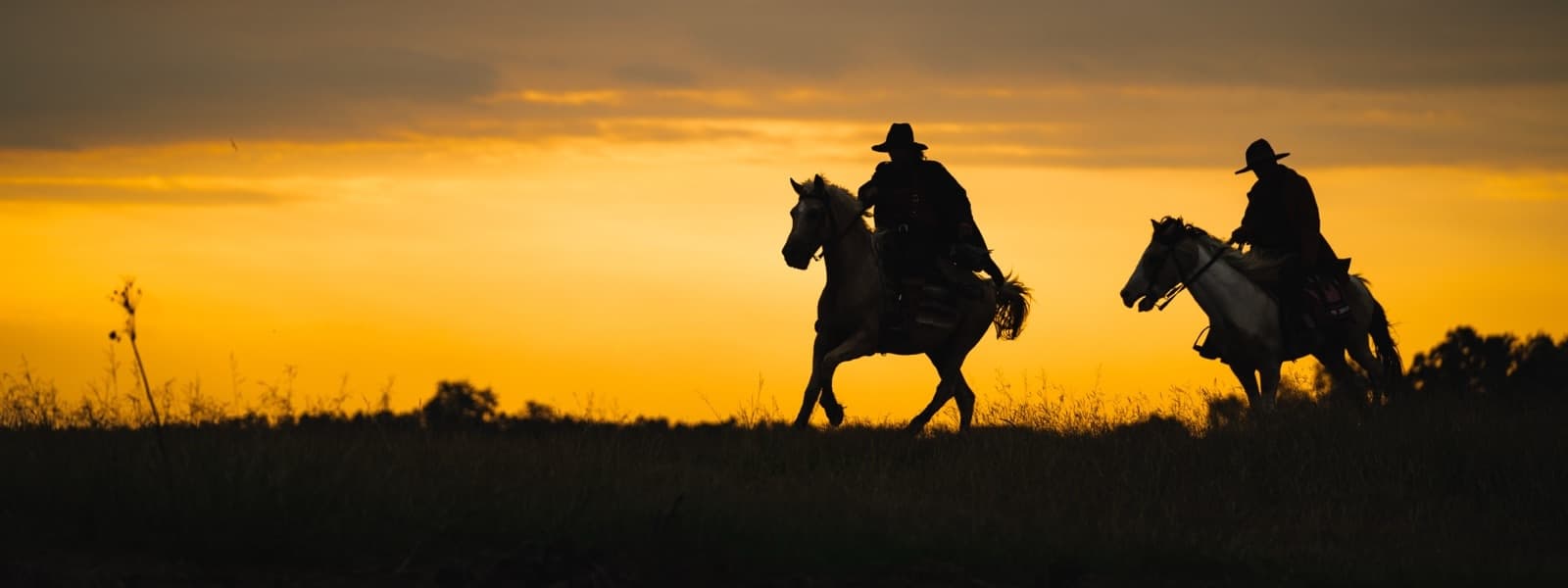 Working Ranch Life Outside Yellowstone